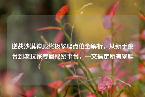 逆战沙漠神殿终极攀爬点位全解析,从新手跳台到老玩家专属秘密平台,一文搞定所有攀爬