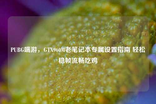 PUBG端游,GTX960M老笔记本专属设置指南 轻松稳帧流畅吃鸡