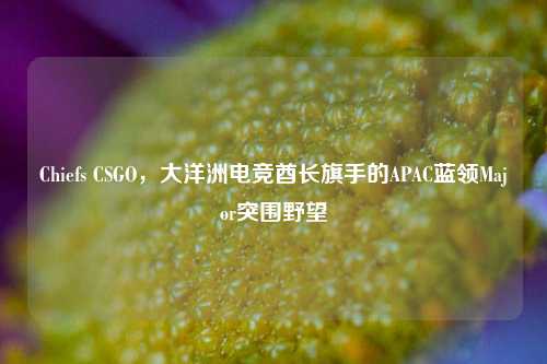 Chiefs CSGO,大洋洲电竞酋长旗手的APAC蓝领Major突围野望