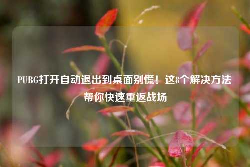 PUBG打开自动退出到桌面别慌!这8个解决 *** 帮你快速重返战场