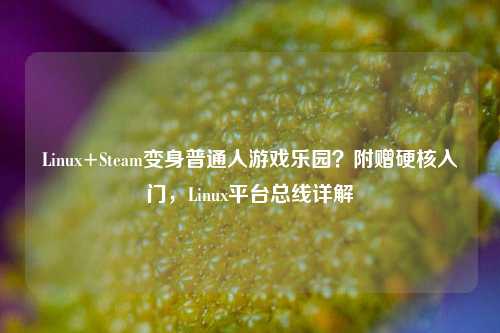 Linux+Steam变身普通人游戏乐园?附赠硬核入门,Linux平台总线详解