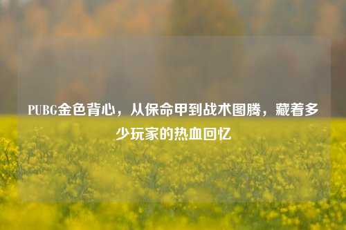 PUBG金色背心,从保命甲到战术图腾,藏着多少玩家的热血回忆