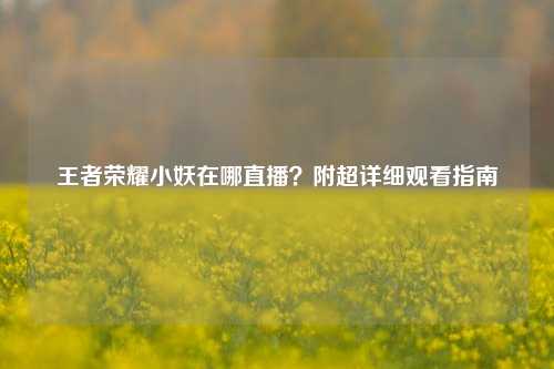 王者荣耀小妖在哪直播?附超详细观看指南