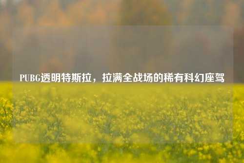 PUBG透明特斯拉,拉满全战场的稀有科幻座驾