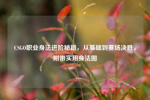 CSGO职业身法进阶秘籍,从基础到赛场决胜,附带实用身法图