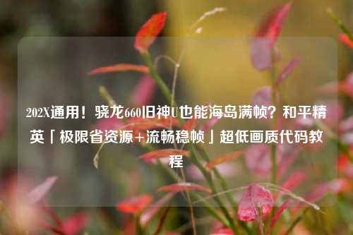 202X通用!骁龙660旧神U也能海岛满帧?和平精英「极限省资源+流畅稳帧」超低画质代码教程