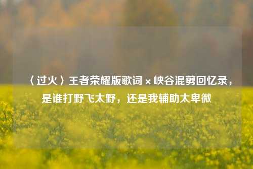〈过火〉王者荣耀版歌词×峡谷混剪回忆录,是谁打野飞太野,还是我辅助太卑微