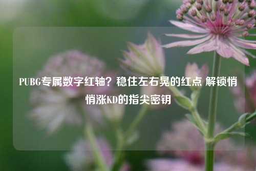 PUBG专属数字红轴?稳住左右晃的红点 解锁悄悄涨KD的指尖密钥