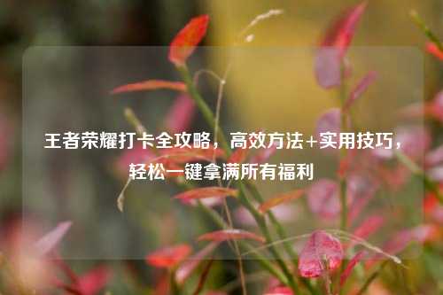 王者荣耀打卡全攻略,高效 *** +实用技巧,轻松一键拿满所有福利