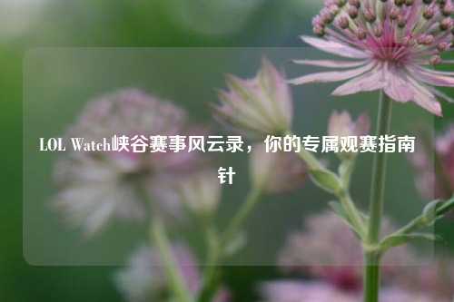 LOL Watch峡谷赛事风云录,你的专属观赛指南针
