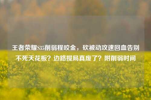 王者荣耀S35削弱程咬金,砍被动攻速回血告别不死天花板?边路搅局真废了?附削弱时间