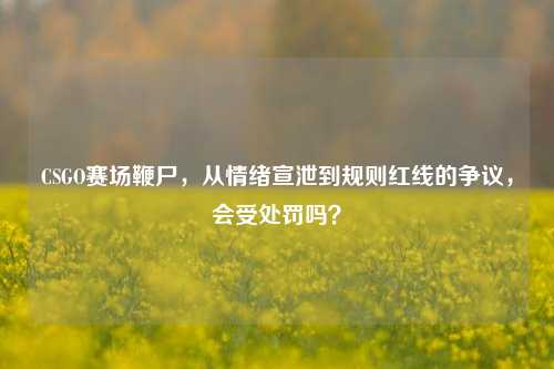 CSGO赛场鞭尸,从情绪宣泄到规则红线的争议,会受处罚吗?