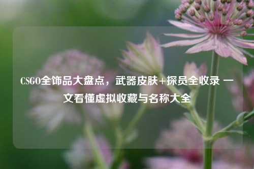 CSGO全饰品大盘点,武器皮肤+探员全收录 一文看懂虚拟收藏与名称大全