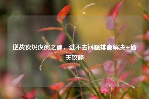 逆战夜烬夜阑之都,进不去问题排查解决+通关攻略