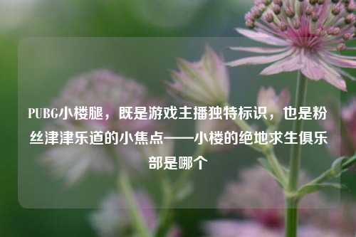 PUBG小楼腿,既是游戏主播独特标识,也是粉丝津津乐道的小焦点——小楼的绝地求生俱乐部是哪个