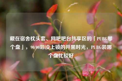 藏在宿舍枕头套、网吧吧台共享区的「PUBG那个盘」,90/00后没上锁的开黑时光,PUBG装哪个盘比较好