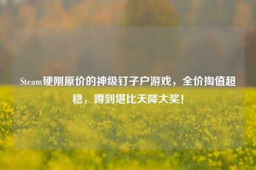 Steam硬刚原价的神级钉子户游戏,全价掏值超稳,蹲到堪比天降大奖!