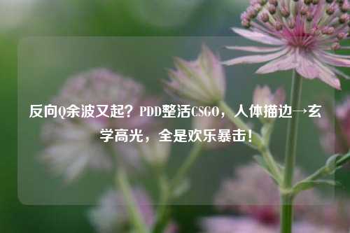 反向Q余波又起?PDD整活CSGO,人体描边→玄学高光,全是欢乐暴击!