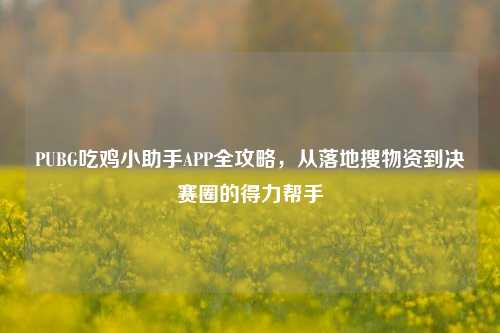 PUBG吃鸡小助手APP全攻略,从落地搜物资到决赛圈的得力帮手