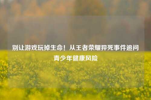 别让游戏玩掉生命!从王者荣耀猝死事件追问青少年健康风险