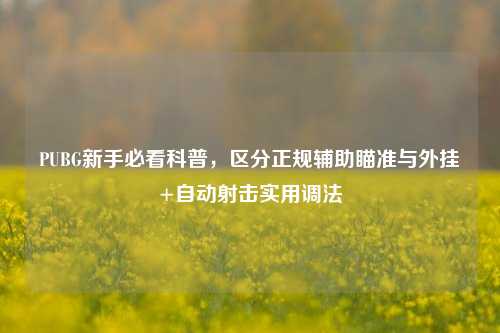 PUBG新手必看科普,区分正规辅助瞄准与外挂+自动射击实用调法