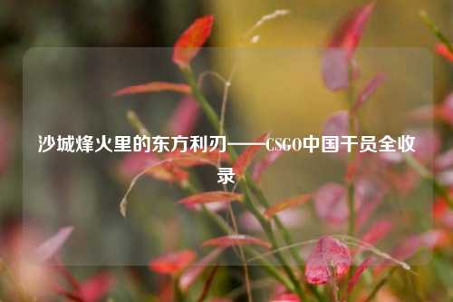 沙城烽火里的东方利刃——CSGO中国干员全收录