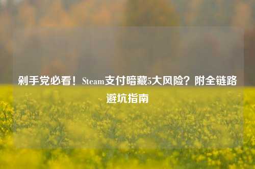 剁手党必看!Steam支付暗藏5大风险?附全链路避坑指南