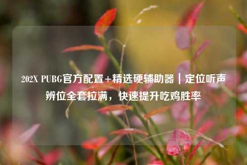 202X PUBG官方配置+精选硬辅助器|定位听声辨位 *** 拉满,快速提升吃鸡胜率