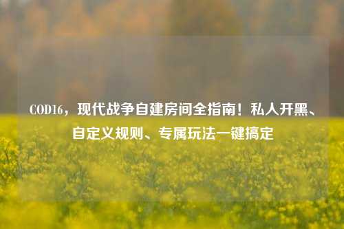 COD16,现代战争自建房间全指南!私人开黑、自定义规则、专属玩法一键搞定
