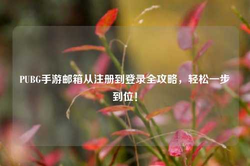 PUBG手游邮箱从注册到登录全攻略，轻松一步到位！