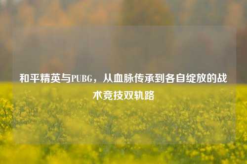 和平精英与PUBG,从血脉传承到各自绽放的战术竞技双轨路