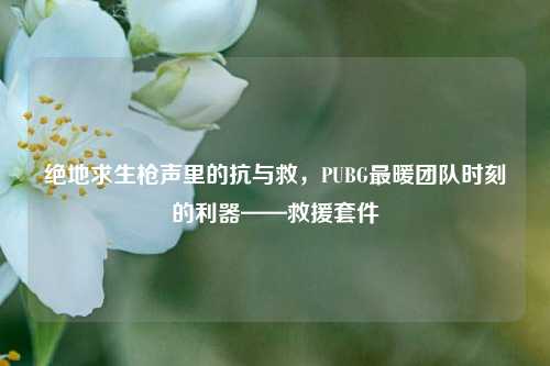 绝地求生枪声里的抗与救,PUBG最暖团队时刻的利器——救援套件