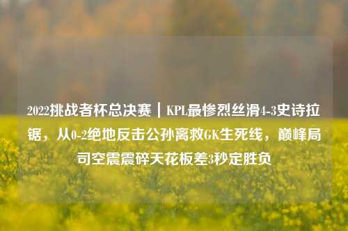 2022挑战者杯总决赛|KPL最惨烈丝滑4-3史诗拉锯,从0-2绝地反击公孙离救GK生死线,巅峰局司空震震碎天花板差3秒定胜负