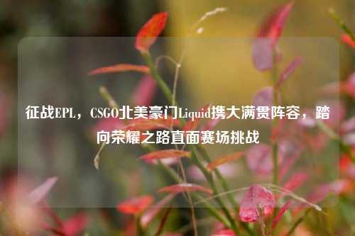 征战EPL,CSGO北美豪门Liquid携大满贯阵容,踏向荣耀之路直面赛场挑战