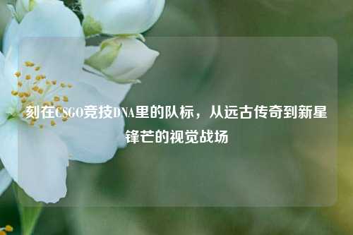 刻在CSGO竞技DNA里的队标,从远古传奇到新星锋芒的视觉战场