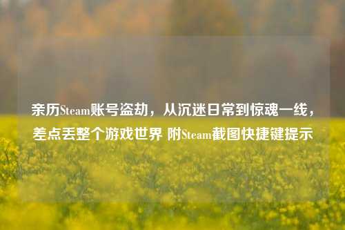 亲历Steam账号盗劫,从沉迷日常到惊魂一线,差点丢整个游戏世界 附Steam截图快捷键提示