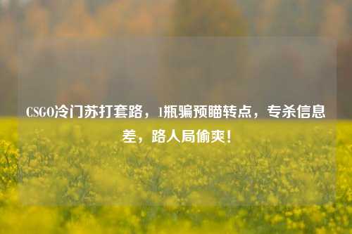 CSGO冷门苏打套路,1瓶骗预瞄转点,专杀信息差,路人局偷爽!