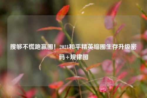 搜够不慌跑赢圈!2021和平精英缩圈生存升级密码+规律图