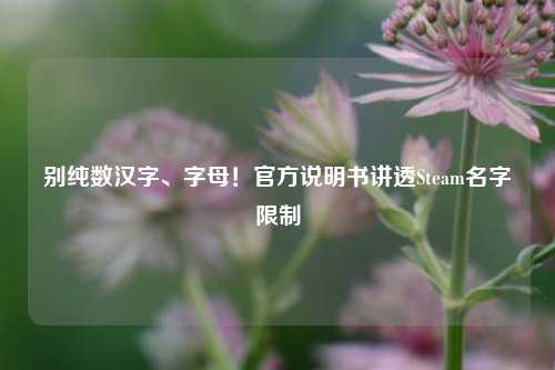别纯数汉字、字母!官方说明书讲透Steam名字限制