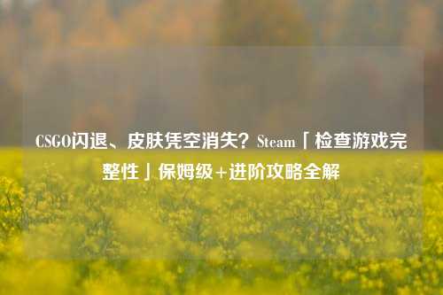 CSGO闪退、皮肤凭空消失?Steam「检查游戏完整性」保姆级+进阶攻略全解