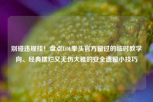 别碰违规挂!盘点LOL拳头官方留过的临时教学向、经典摆烂又无伤大雅的安全遗留小技巧