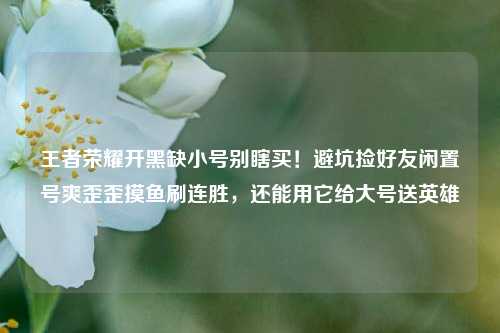 王者荣耀开黑缺小号别瞎买!避坑捡好友闲置号爽歪歪摸鱼刷连胜,还能用它给大号送英雄