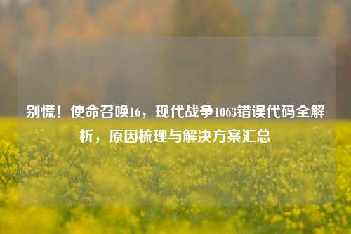 别慌!使命召唤16,现代战争1063错误代码全解析,原因梳理与解决方案汇总