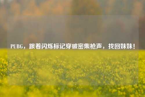 PUBG,跟着闪烁标记穿破密集枪声,找回妹妹!
