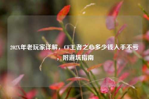 202X年老玩家详解,CF王者之心多少钱入手不亏,附避坑指南