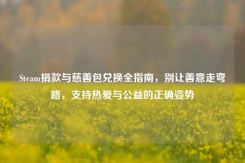 Steam捐款与慈善包兑换全指南,别让善意走弯路,支持热爱与公益的正确姿势