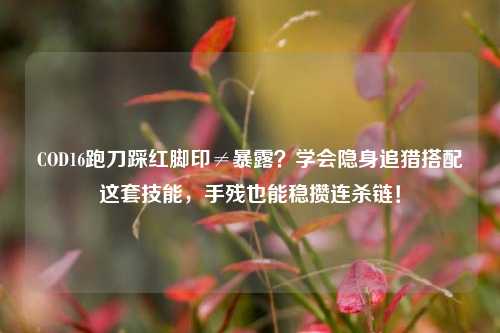 COD16跑刀踩红脚印≠暴露?学会隐身追猎搭配这套技能,手残也能稳攒连杀链!