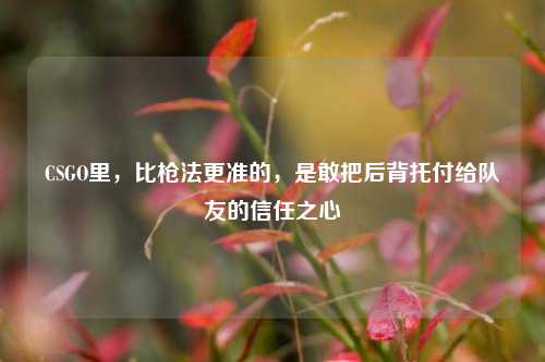 CSGO里,比枪法更准的,是敢把后背托付给队友的信任之心