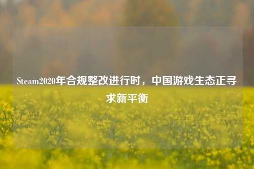 Steam2020年合规整改进行时,中国游戏生态正寻求新平衡