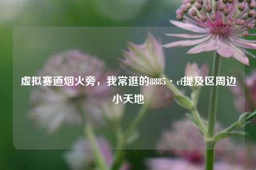 虚拟赛道烟火旁,我常逛的8885·cf提及区周边小天地